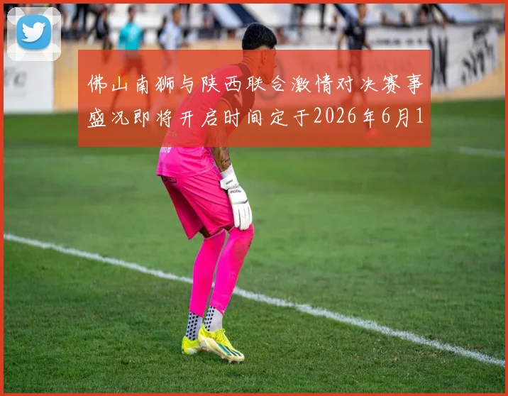 佛山南狮与陕西联合激情对决赛事盛况即将开启时间定于2026年6月14日周日晚上七点半