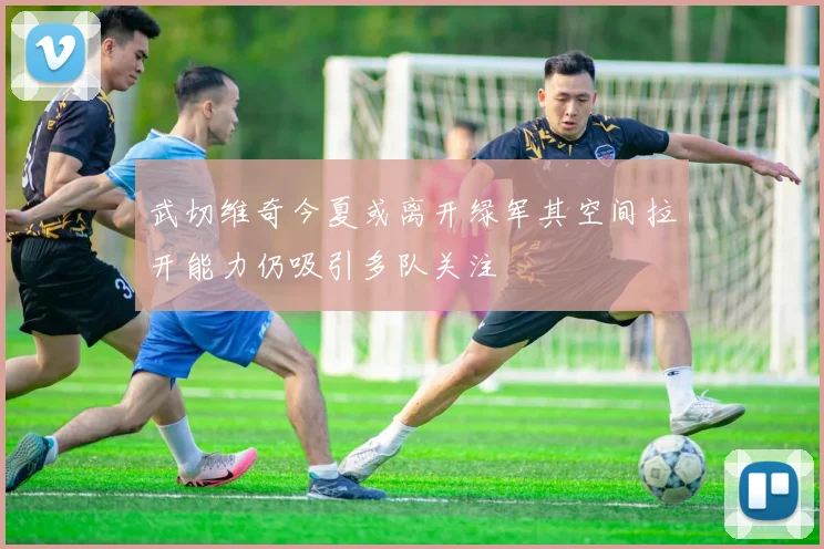 武切维奇今夏或离开绿军其空间拉开能力仍吸引多队关注